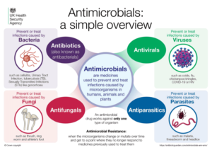 Global Superbug Threat: 40 Million Deaths Expected Due to Antibiotic Resistance By 2050