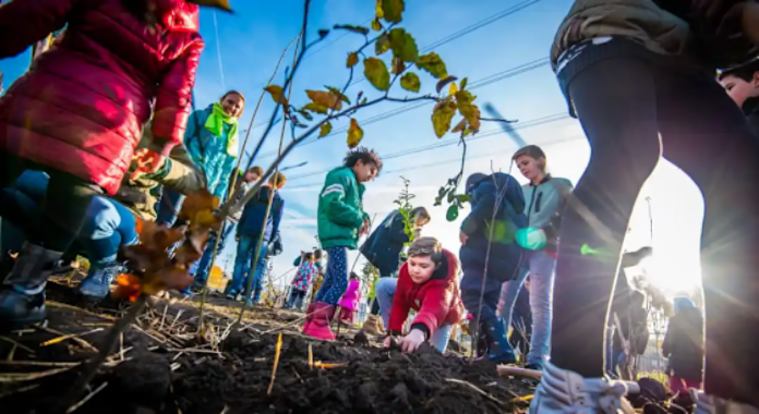 Anti-Smog Campaign: EPD Initiates Miyawaki Forests Planting in Educational Institutes