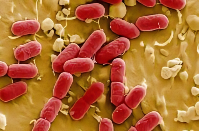 Global Superbug Threat 40 Million Deaths Expected Due to Antibiotic Resistance By 2050