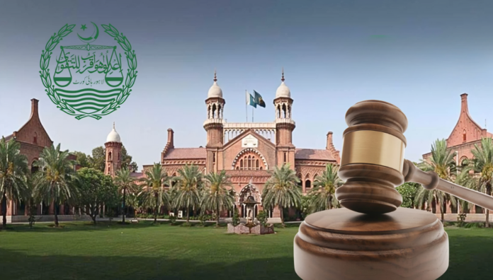 LHC Protects Widow Right After Remarriage, Ensures Employment Stability