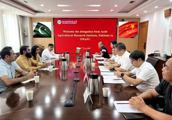 Pakistan & China Universities to Exchange Germplasm & Bio-Health Agriculture Technology