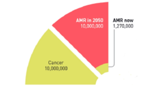 Projections and Regional Impact 2