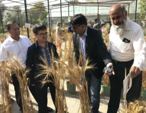 Pakistan & China Universities to Exchange Germplasm & Bio-Health Agriculture Technology