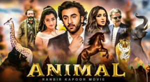 IIFA Awards 2024: Animal Movie Secures Best Film and Other 6 Awards