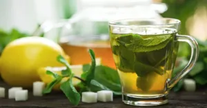6 Best Anti Aging Foods for Youthful and Radiant Skin at Any Age 6 6 Best Anti Aging Foods for Youthful and Radiant Skin at Any Age