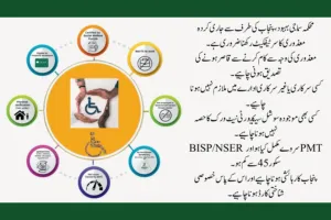 Himmat Card Eligibility Criteria Points in Urdu