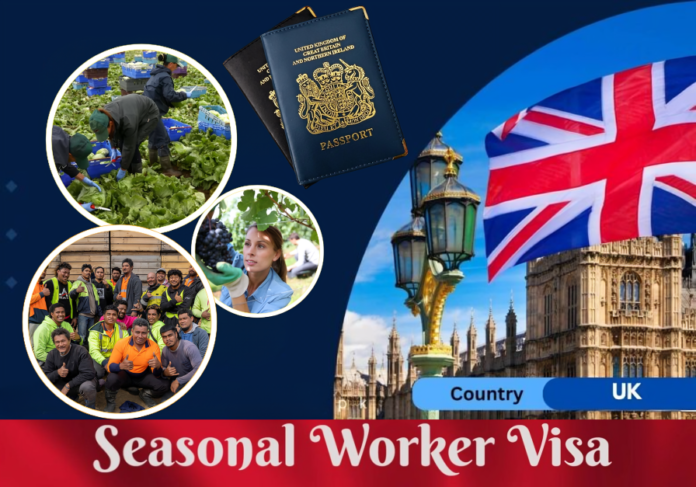 Seasonal Work Visa UK 2024 – 43,000 New Visas Announced for Foreigner