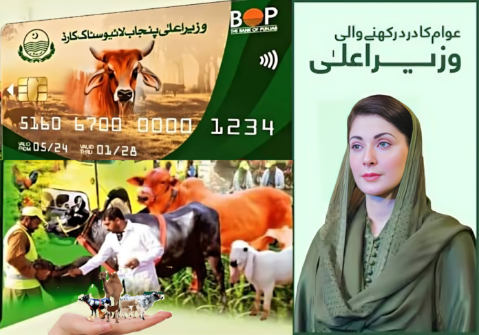 CM Punjab Livestock Card Scheme 2024 - Benefits and Registration Details