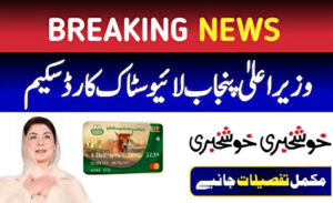 CM Punjab Livestock Card Scheme 2024 - Benefits and Registration Details