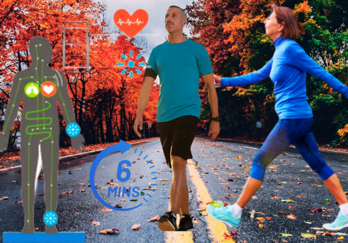 6 Minute Walk Test for Fitness for Predicting Heart and Lung Health