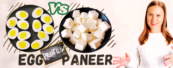 Egg Protein Vs Paneer Protein: Find Out Which Is Better For Your Diet