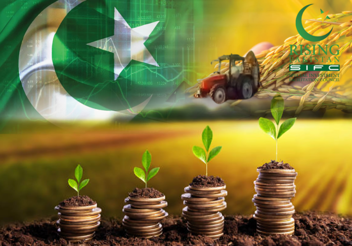 Pakistan Agriculture Growth Soars Significantly With SIFC Support