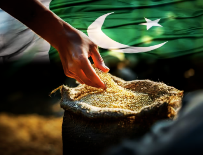 Pakistan's $1 Billion Sesame Export Milestone: A Game-Changer for the Economy