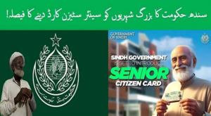 Senior Citizen Card Sindh project