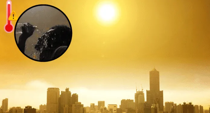 A silhouetted person drinks water under a glaring sun, with a hazy city skyline, indicating a heatwave warning.