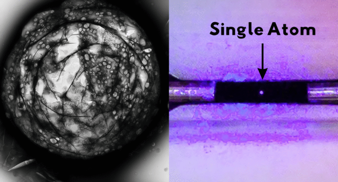 Black and white image of a circular structure with intricate patterns and a colored close-up showing a single atom highlighted.