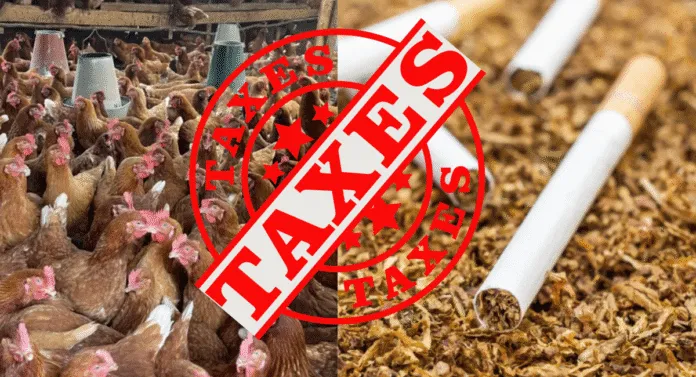 Collage of chickens in a barn and tobacco cigarettes on the ground, overlaid with a bold 