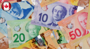 Top 13 Most Beautiful Banknote Designs Around the World 4 A colorful assortment of Canadian banknotes featuring various denominations, showcasing their distinct designs and colors.