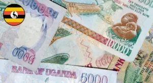 A close-up of various Ugandan banknotes featuring wildlife and cultural imagery, including a 5000 and a 10000 shilling note.
